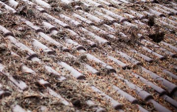 Levencorroch roof cleaning companies